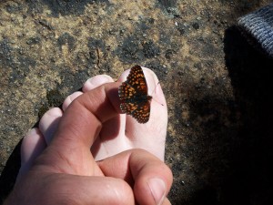 butterflytoes